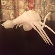 IMG_1294.jpg Оригинальный концепт Facehugger от Х.Р. Гигера