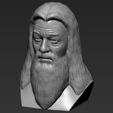14.jpg Fichier 3D Dumbledore de Harry Potter buste impression 3D prêt stl obj・Design pour imprimante 3D à télécharger