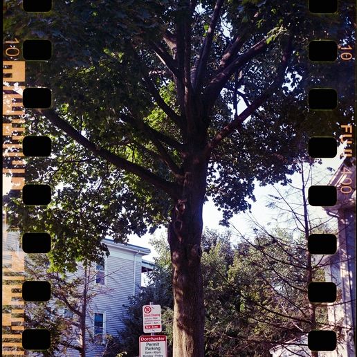 231010_O-ZonePano69_Fuji400_8-flickr.jpg O.Zone 6x9 3d Printed Medium Format Film Camera