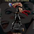 h-1.jpg Harley Quinn and Catwoman - Collecible Edition