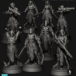 CursedElves_Flesh_Warriors.png Elfos malditos 2.0 - Guerreros de carne