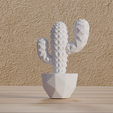 0010.png File : Polygon / vector cactus reproduction in digital format
