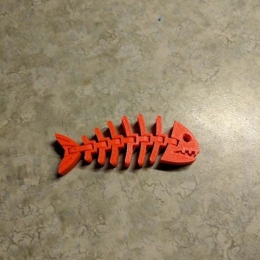 Fish Fossilz