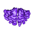 brain H.stl Trippy Brain