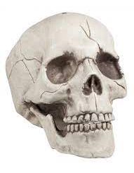 skull.jpg Big Skull Thing