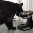 Picture-IRL-1-170model.jpg Elevated bowl-holder for your fur friend/s