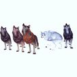 0.jpg WOLF DOG - DOWNLOAD WOLF 3d Model - ANIMATED for blender-fbx-unity-maya-unreal-c4d-3ds max - 3D printing WOLF DOG - CANINE -POKÉMON - CARTOON - DINOSAUR