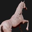 09.jpg American Quarter Horse model 3D print model