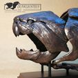 Fossil03.jpg Dunkleosteus fossil