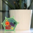 9940e64e-6e61-452e-8b09-7133395b225c.jpg Plant Cell Model (8 Colors)
