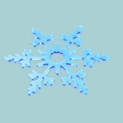 8dea8eea-0550-4560-a6c9-90a0013e7bbb.jpeg Snowflake