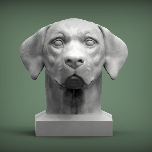 Labrador2.jpg Labrador Modèle d'impression 3D