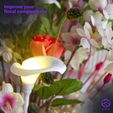 @LILY-fotos-6.jpg Lily Light - A Blossom of Elegance and Illumination