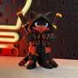 IMG_4836.jpg Ninja Cat