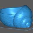 004.jpg Shell Planter