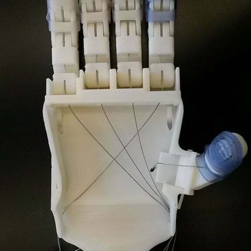 20140805_101054.jpg Falcon Hand V1