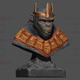 08.jpg Kingdom of The Planet of The Apes Bust