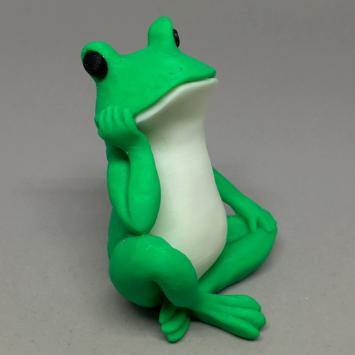 Capture d’écran 2017-05-30 à 15.34.41.png Free STL file Bored Frog Colorized・3D printing model to download, CyberCyclist