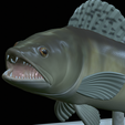 zander-open-mouth-tocenej-21.png fish zander / pikeperch / Sander lucioperca trophy statue detailed texture for 3d printing