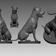 Key_Parts_005.png Pitbull - Dog Pet 01