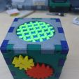 20211019_165951.jpg Playing dice