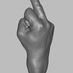 Mittelfinger-1.jpg Middle finger