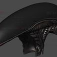 13.jpg Alien Xenomorph Head Decor Wearable Cosplay