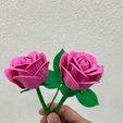 WhatsApp-Image-2026-02-12-at-04.13.53-3.jpeg Modular Rose  - Snap-Fit Design valentine day
