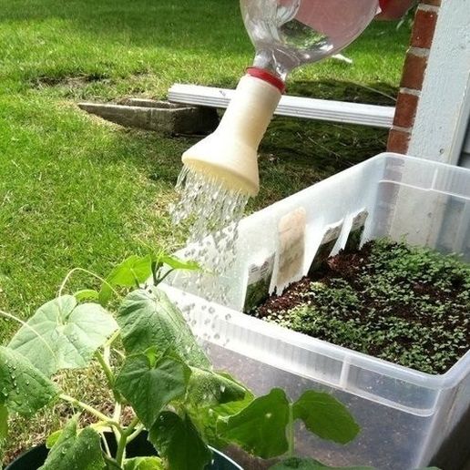 spout_display_large_display_large.jpg Watering spout for 2 liter bottle
