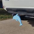 IMG20241102151308.jpg Dolphin Tow Hitch Cover