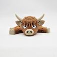 20251215_094807.jpg Flexi Highland Cow