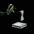 Bass-trophy-29.png Largemouth Bass / Micropterus salmoides fish in motion trophy statue detailed texture for 3d printing