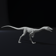Run2.png Compy - Compsognathus Dinosuar Reptile