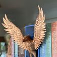 IMG_6068.jpeg Águila Emergente- Rincón de libros inspirado en Ravenclaw