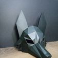 IMG_20230724_013801.jpg Low poly Coyote mask