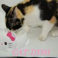 CAT-DISH-PRINT3D-PRINTINPLACE-FREE5.jpg cat dish