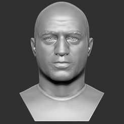 1.jpg Joe Rogan bust for 3D printing