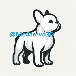 bebe-4.jpeg French Bulldog Baby #04