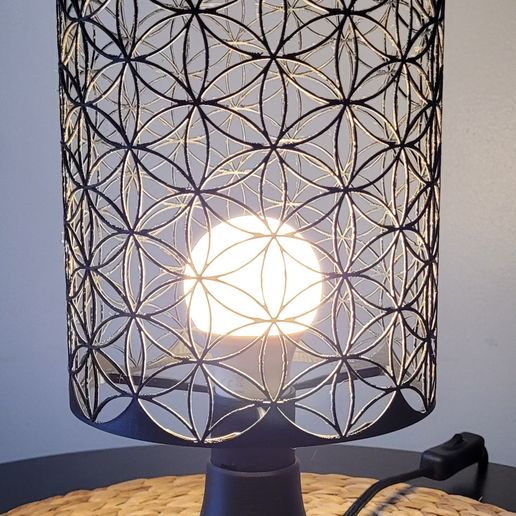 20240825_185010.jpg Flower of life 3. lampshade