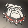 IMG_5296.jpeg UGA Dawgs 3D logo AXM