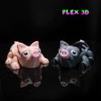 Piglet-Chunky-2.jpg Flex 3D Piglet Chunky