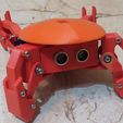 IMG_20191116_153737.jpg STL file Kame: quadruped robot (version with cheap servo)・3D printing template to download