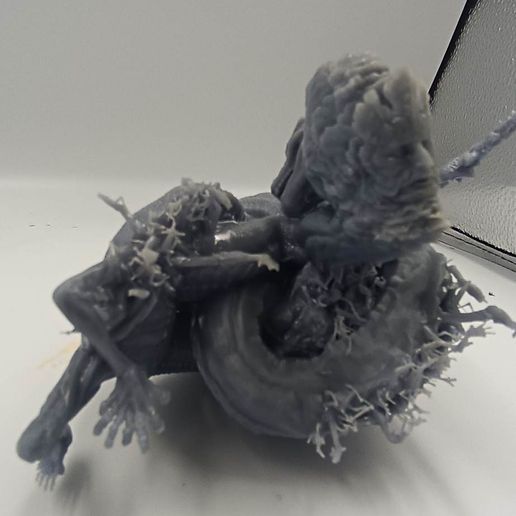 343275799_777551664029204_3883857471789206556_n.jpg Elden ring Praetor Rykard model