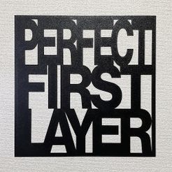 Perfect1stLayer1.jpg Perfect First Layer