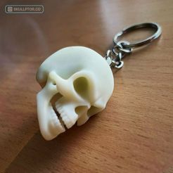 296633326_5541933259208003_2559282315842860670_n.jpg Archivo STL Llavero calavera・Design para impresora 3D para descargar