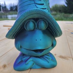 IMG_20240420_181915.jpg Grenouille avec chapeau