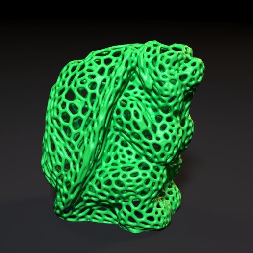 10006.jpg Черепаха Вороного