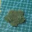 1697725599428.jpg Gras für Diorama 1:35