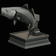 coalfish-open-mouth-statue-box-56.png COALFISH / POLLACHIUS VIRENS trophy with storage space for 3d printing