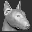 5.jpg Bull Terrier dog for 3D printing